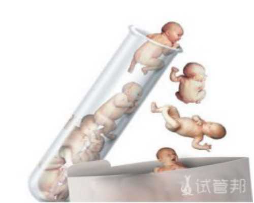 供卵家庭_供卵官网,北京供卵包男孩费用多少（台湾供卵试管费用）