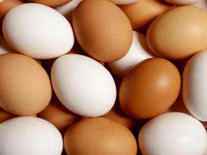 国内供卵不排队