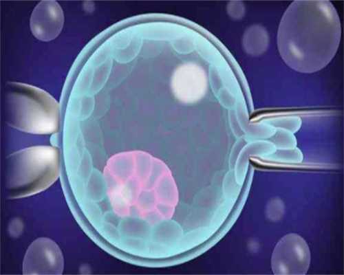 试管用供卵移植对身体有,2023
武汉大学中南医院三代试管胚胎筛查多少钱？附武