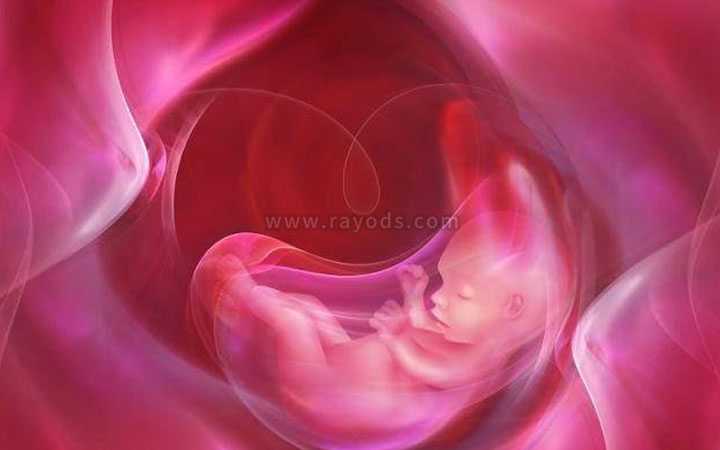 乌审旗坤和助孕是真是假_乌审旗怎么办能助孕_试管婴儿移植第几天可以用测试