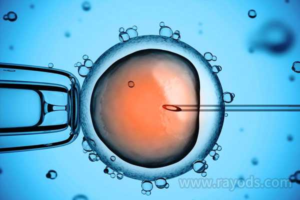 大关县最大的助孕服务公司_大关县坤和助孕怎么样_输卵管真的可以通吗？为什