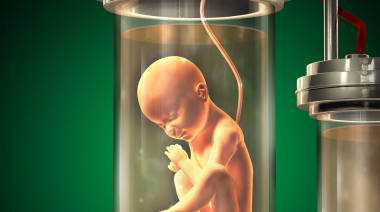 哪些人会选供卵做三代试管_两侧输卵管切除可通过二代试管婴儿受孕，庆阳多